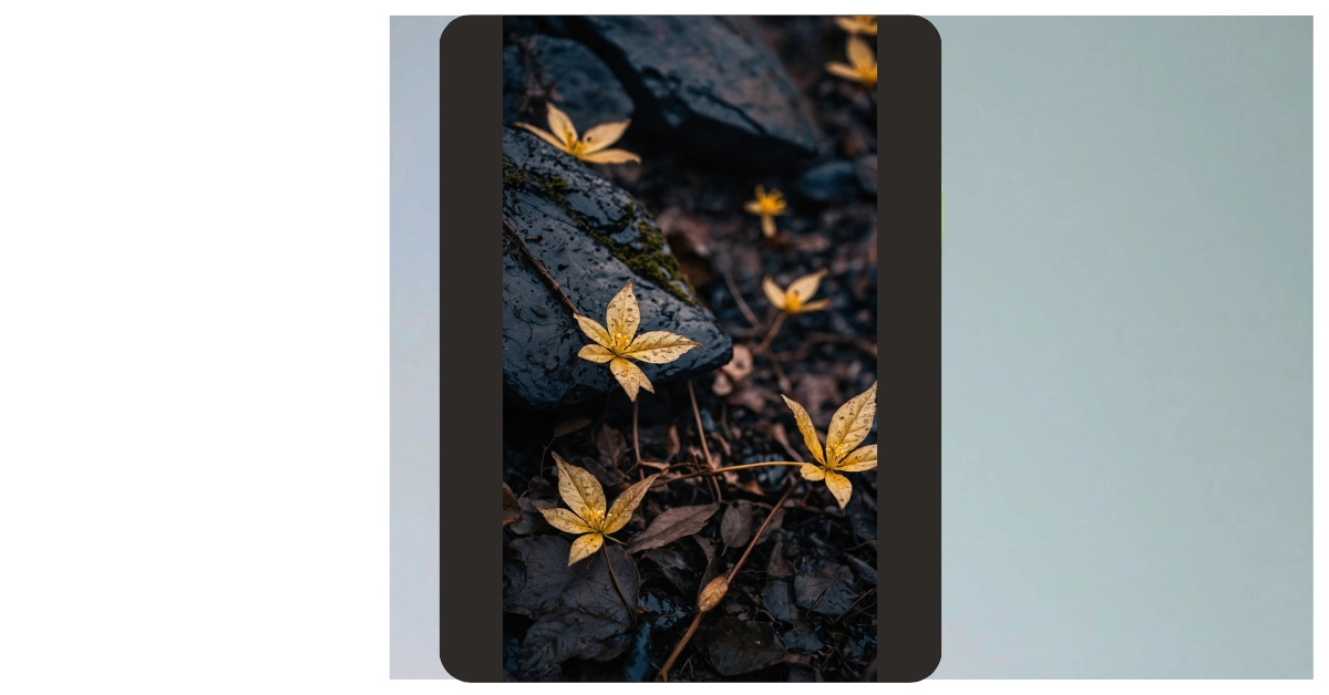 Elevate Your Space: 09 Nature Wallpaper Ideas for Everyone**  
**