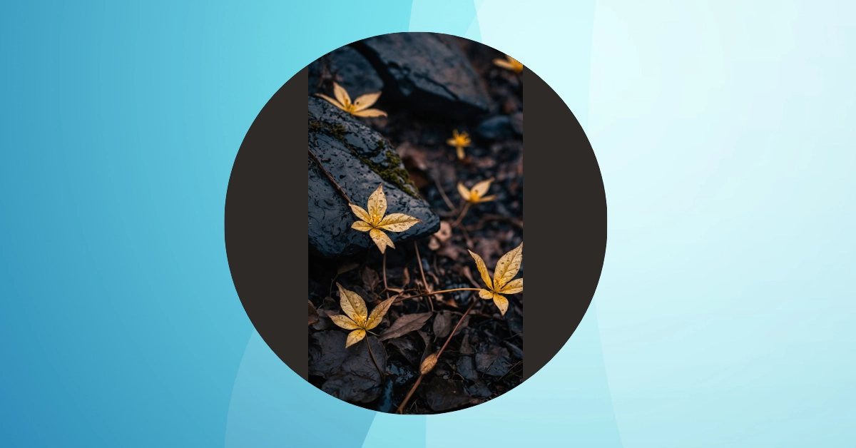 Discover Delightful Nature: 09 Stunning Wallpaper Ideas**  
**