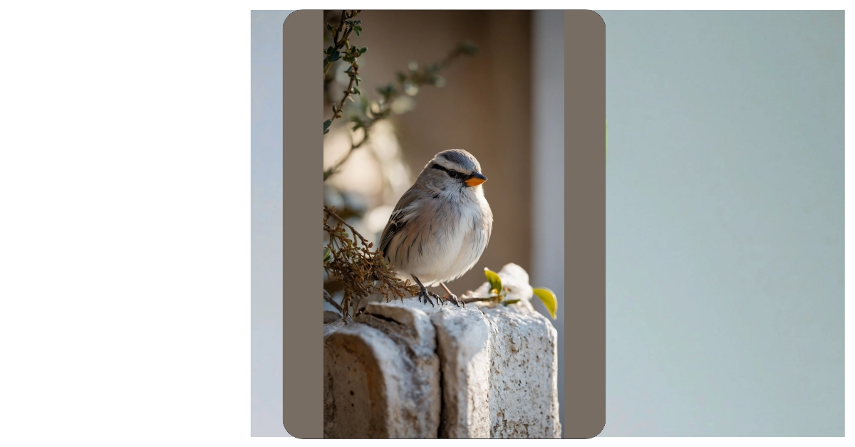 13 Birds Wallpaper Ideas for Every Mood and Room