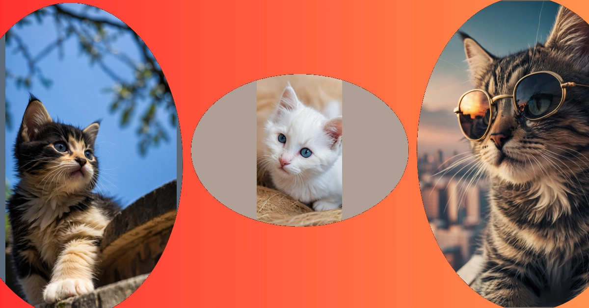 11 Aesthetic Kitten Wallpapers That Are Just Too Cute to Handle